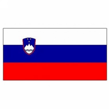 Meridian Zero Slovenia Courtesy Flag