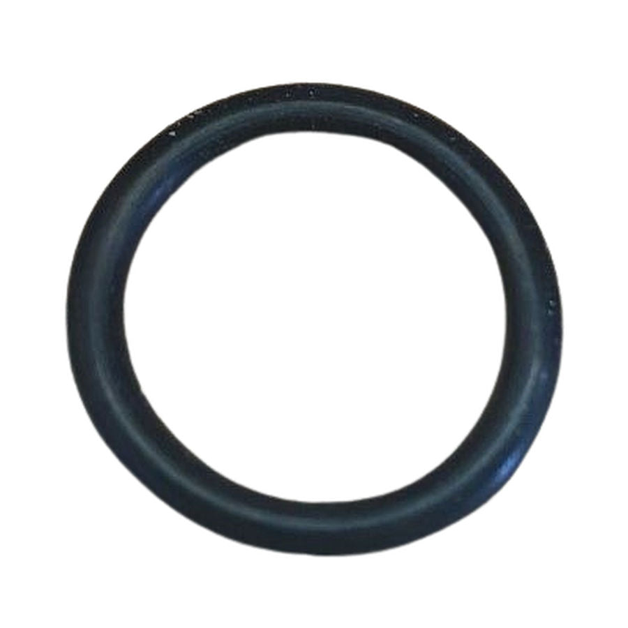 RM69 Sealock Toilet Pump Camshaft O-Ring 552.3