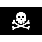 Meridian Zero Novelty Flag - Jolly Roger Pirate Flag 30x45cm