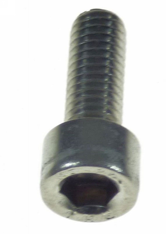 Torqeedo Skeg Fixing Screw 067-00017